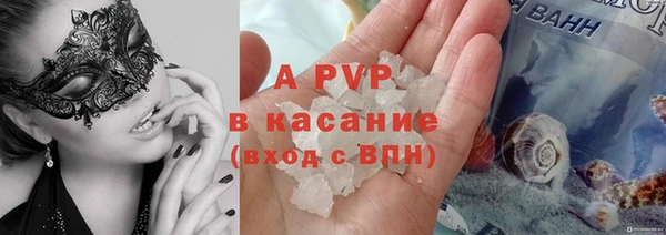 индика Баксан