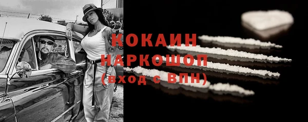 индика Баксан