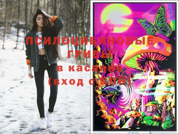 индика Баксан