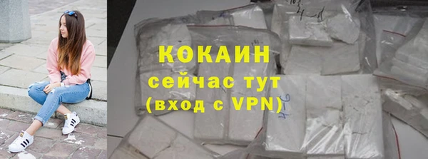 индика Баксан