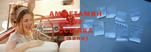 индика Баксан