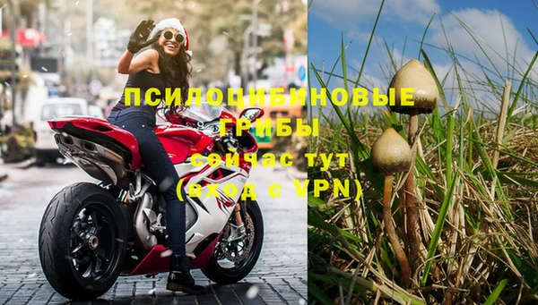 индика Баксан