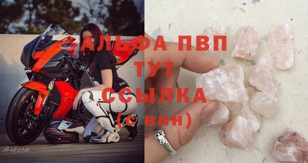 индика Баксан