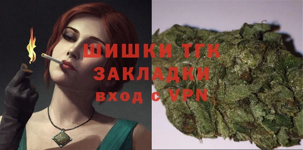 индика Баксан